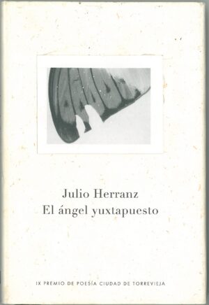 El angel yuxtapuesto