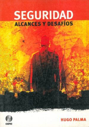Seguridad, alcances y desafios