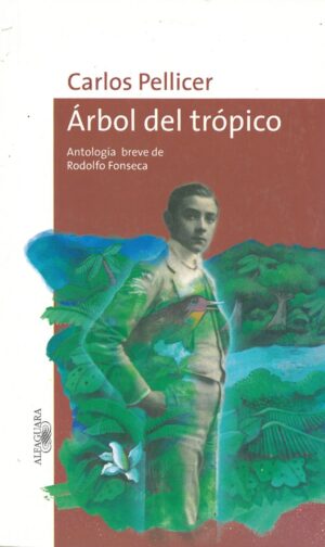 Arbol del tropico